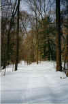 winter trail.jpg (81177 bytes)